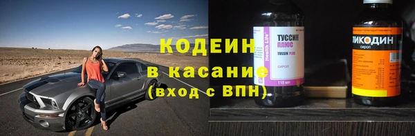 гашик Кодинск