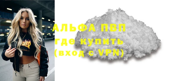 молекула духа Козельск