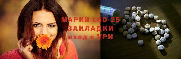 молекула духа Козельск