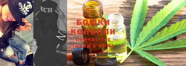 стафф Козловка